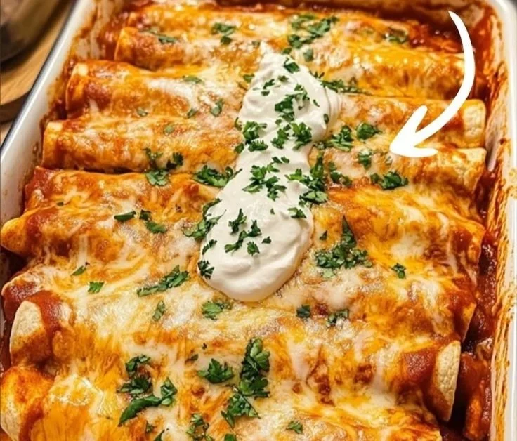 Ultimate Quick and Easy Chicken Enchiladas – Complete Homemade Recipe Guide