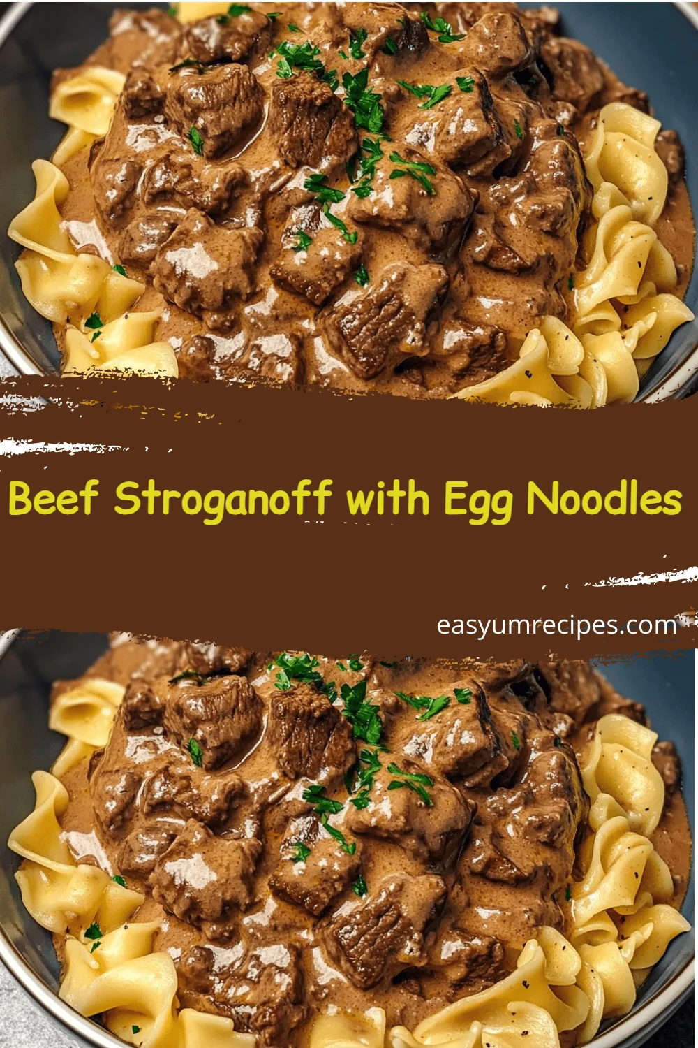Beef Stroganoff with Egg Noodles