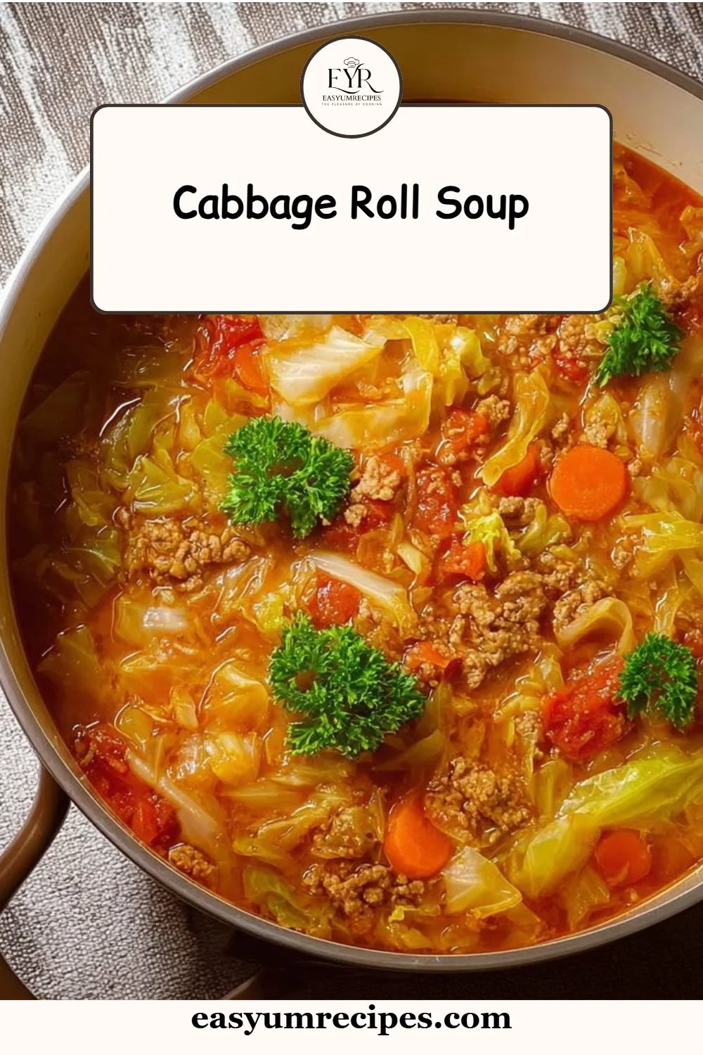 Cabbage Roll Soup