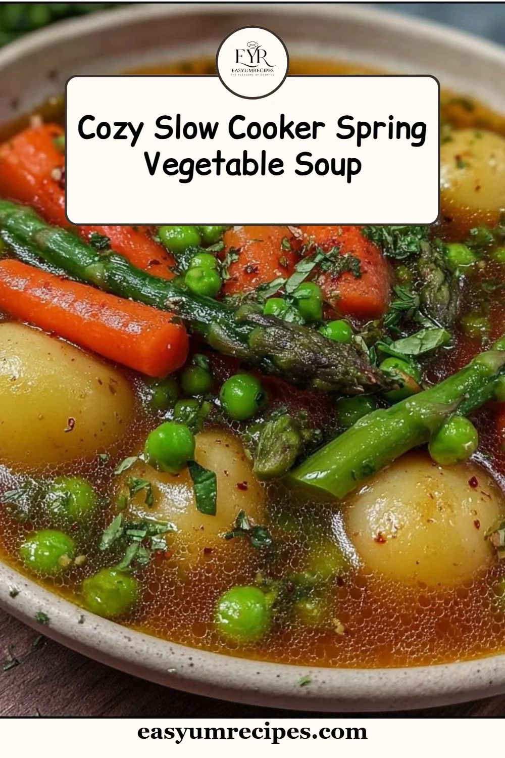 Cozy Slow Cooker Spring Vegetable Soup