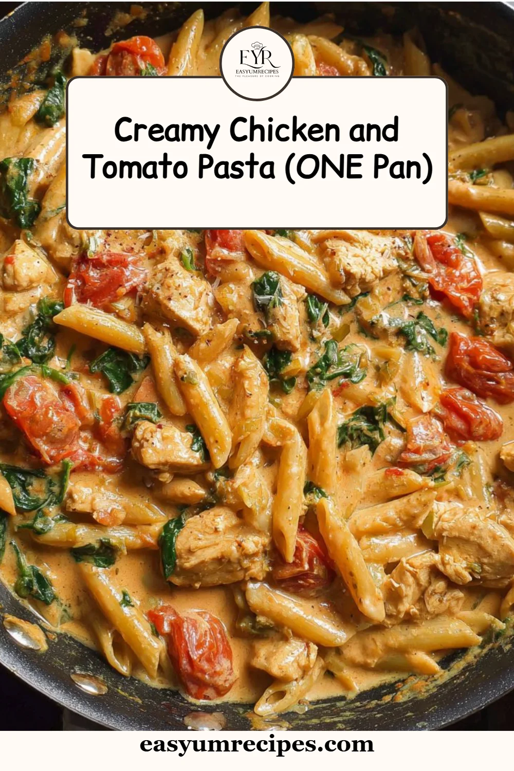 Creamy Chicken and Tomato Pasta (ONE Pan)