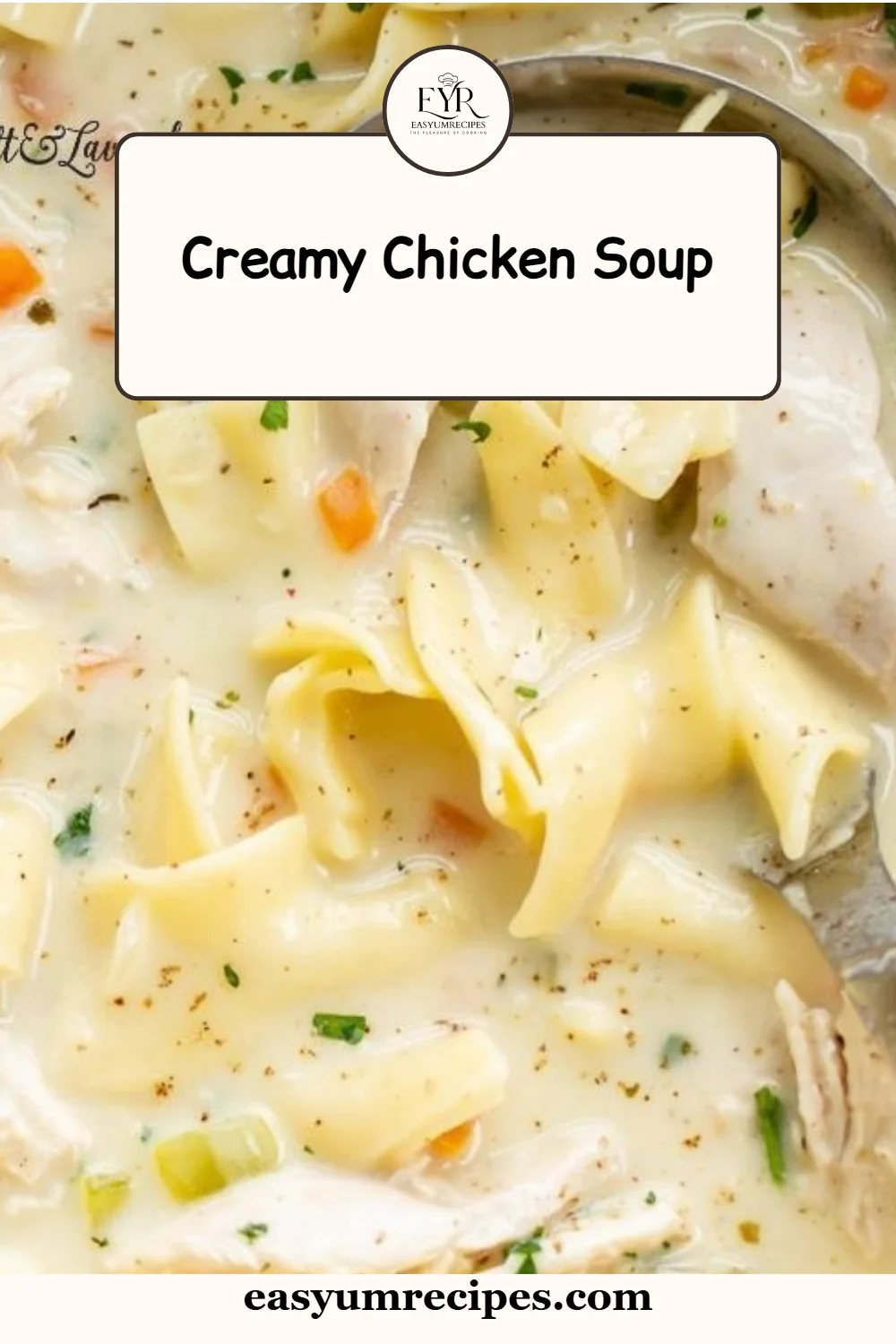 Creamy Chicken Soup