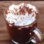 A rich cup of dark hot chocolate topped with whipped cream and cocoa powder