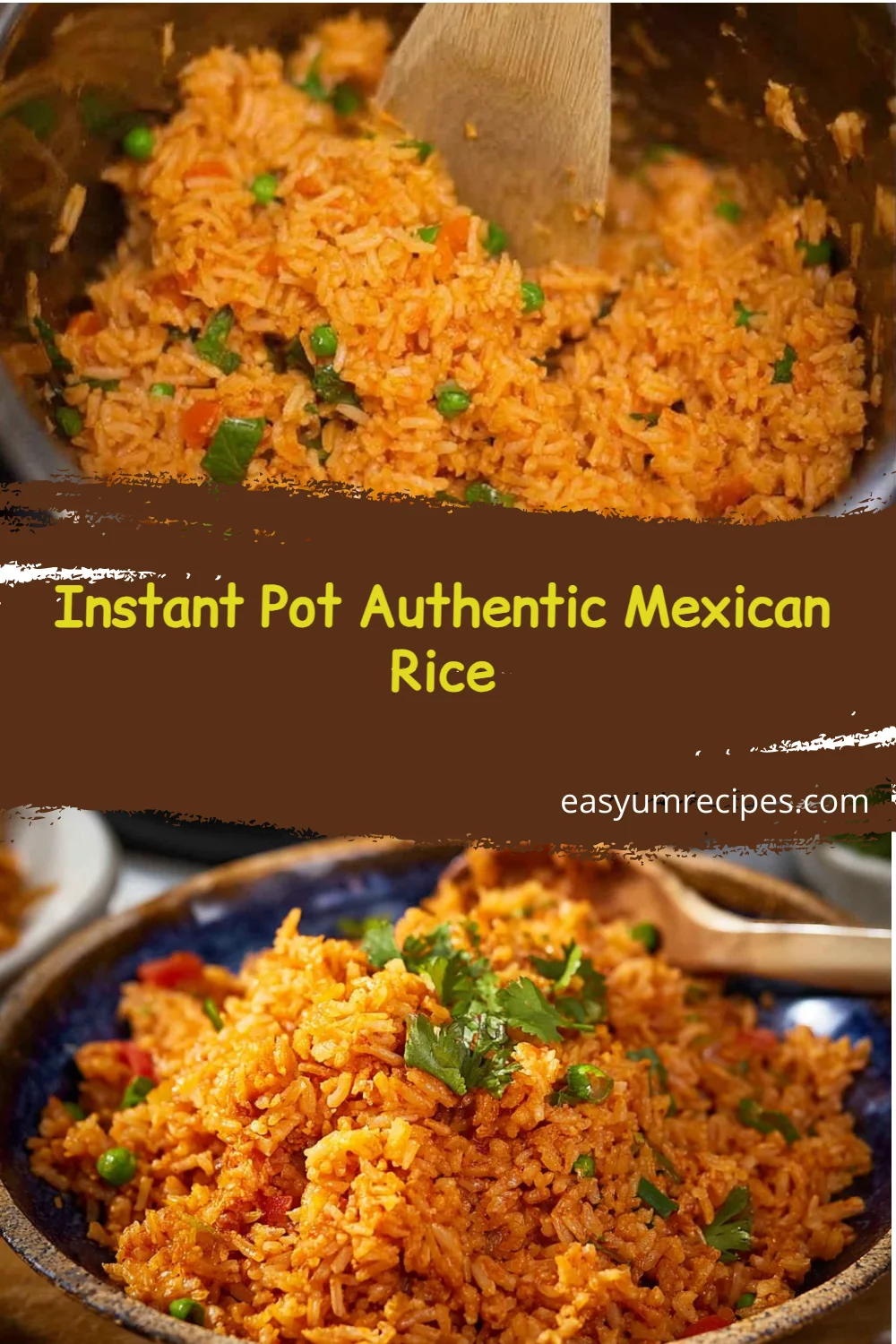 Instant Pot Authentic Mexican Rice