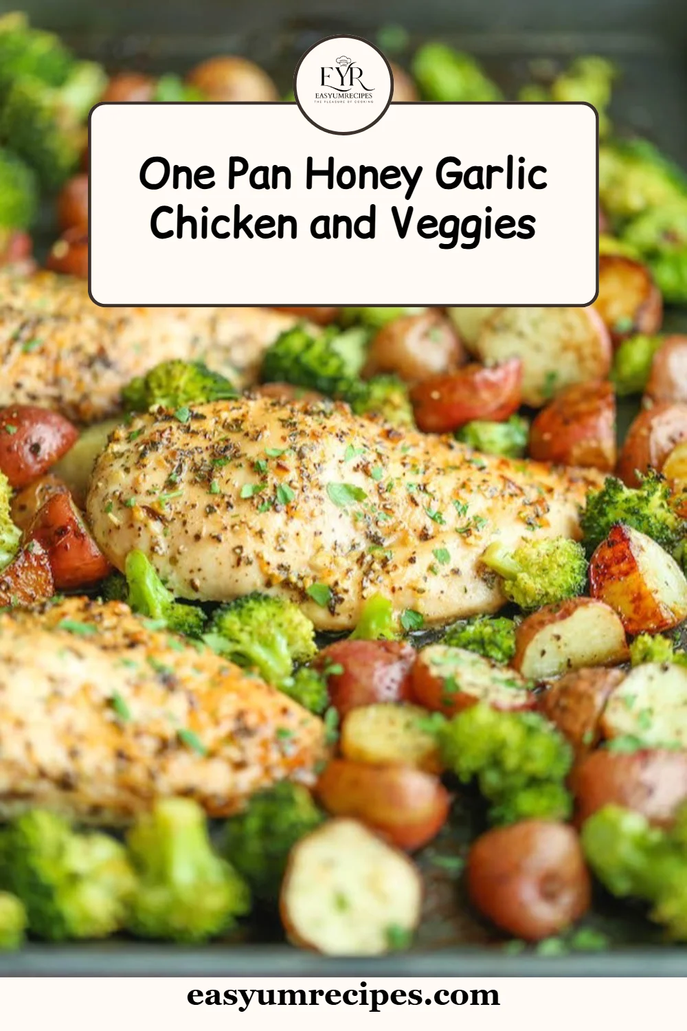 One Pan Honey Garlic Chicken and Veggies